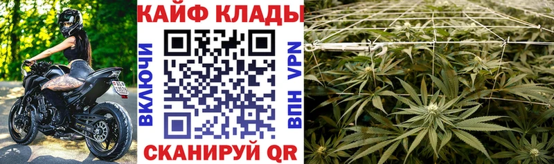 Купить закладку APVP Мефедрон Кокаин ГАШ Лсд 25 Конопля Инта