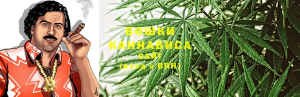 крисы Дмитриев