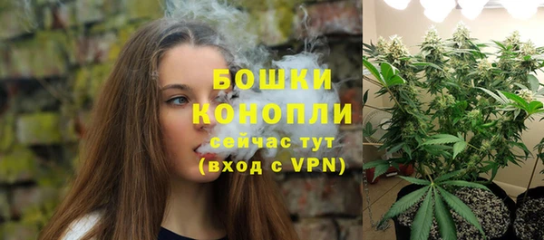 крисы Дмитриев